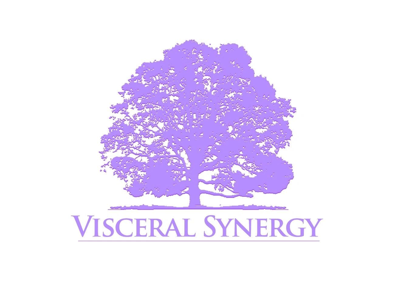 /wp-content/uploads/2023/09/Visceral20Synergy20Logo.jpg